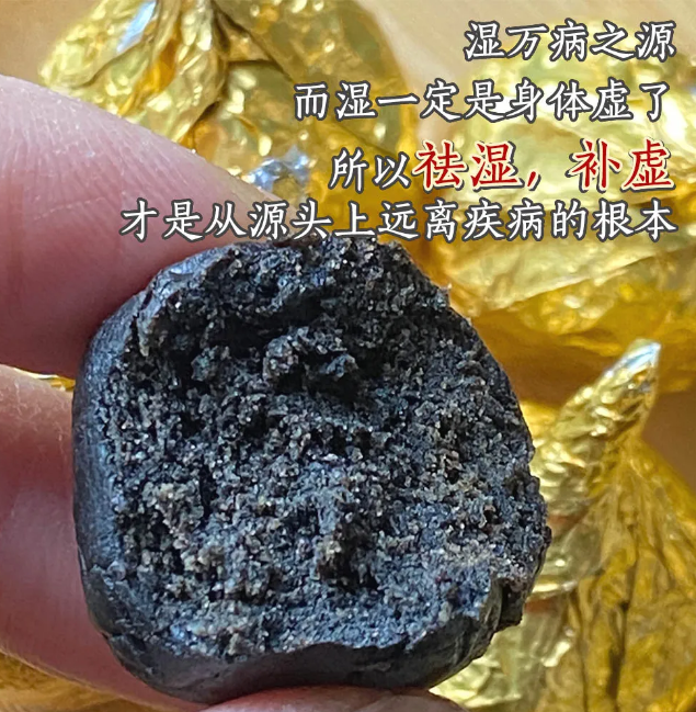 image-20241222203042988